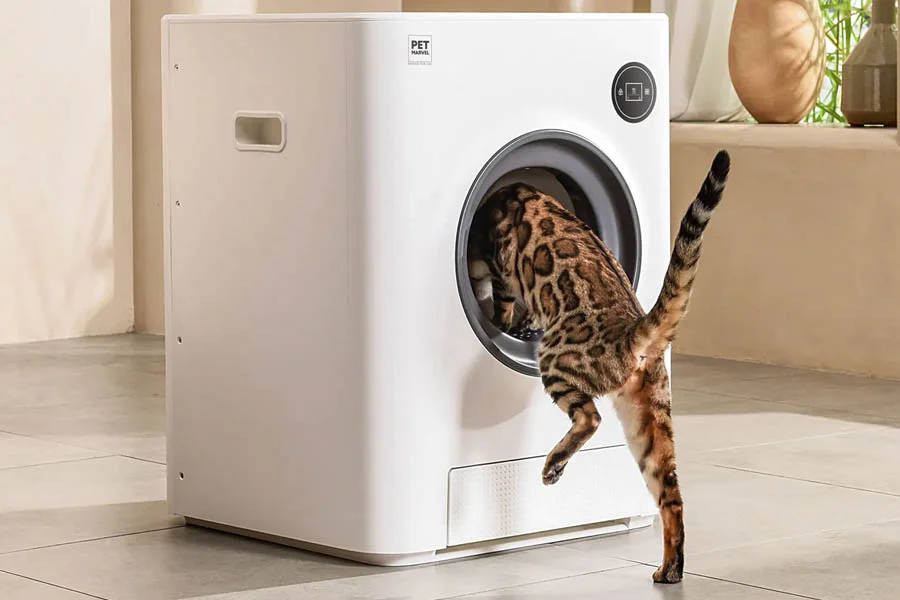 best automatic cat litter box for multiple cats